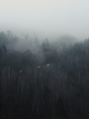 couverture des fils de l'obscurité